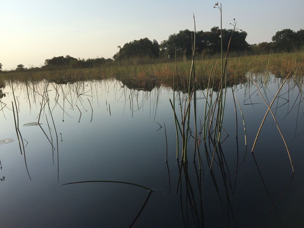 [27344] 2016_07_01_16_46_49_Africa_iPhone_6_Plus_IMG_4570_00082.jpg