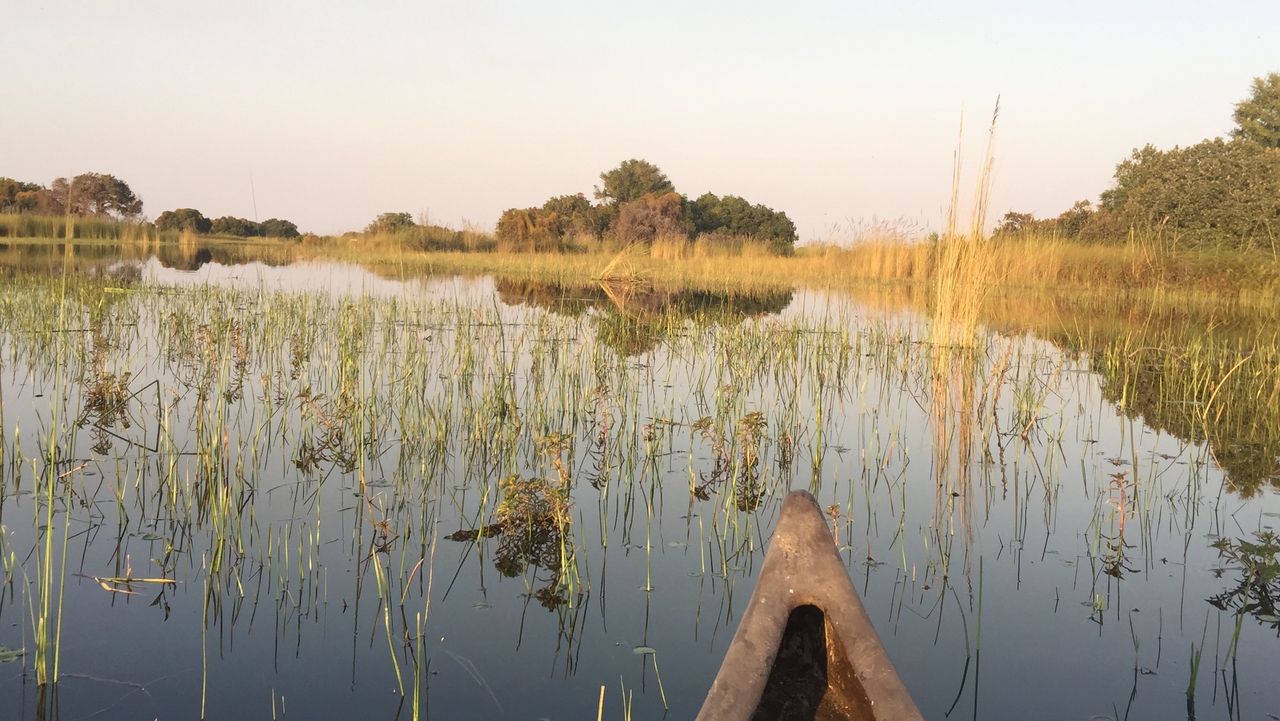 [27382] 2016_07_01_17_17_55_Africa_iPhone_6_Plus_IMG_4589_07159.jpg