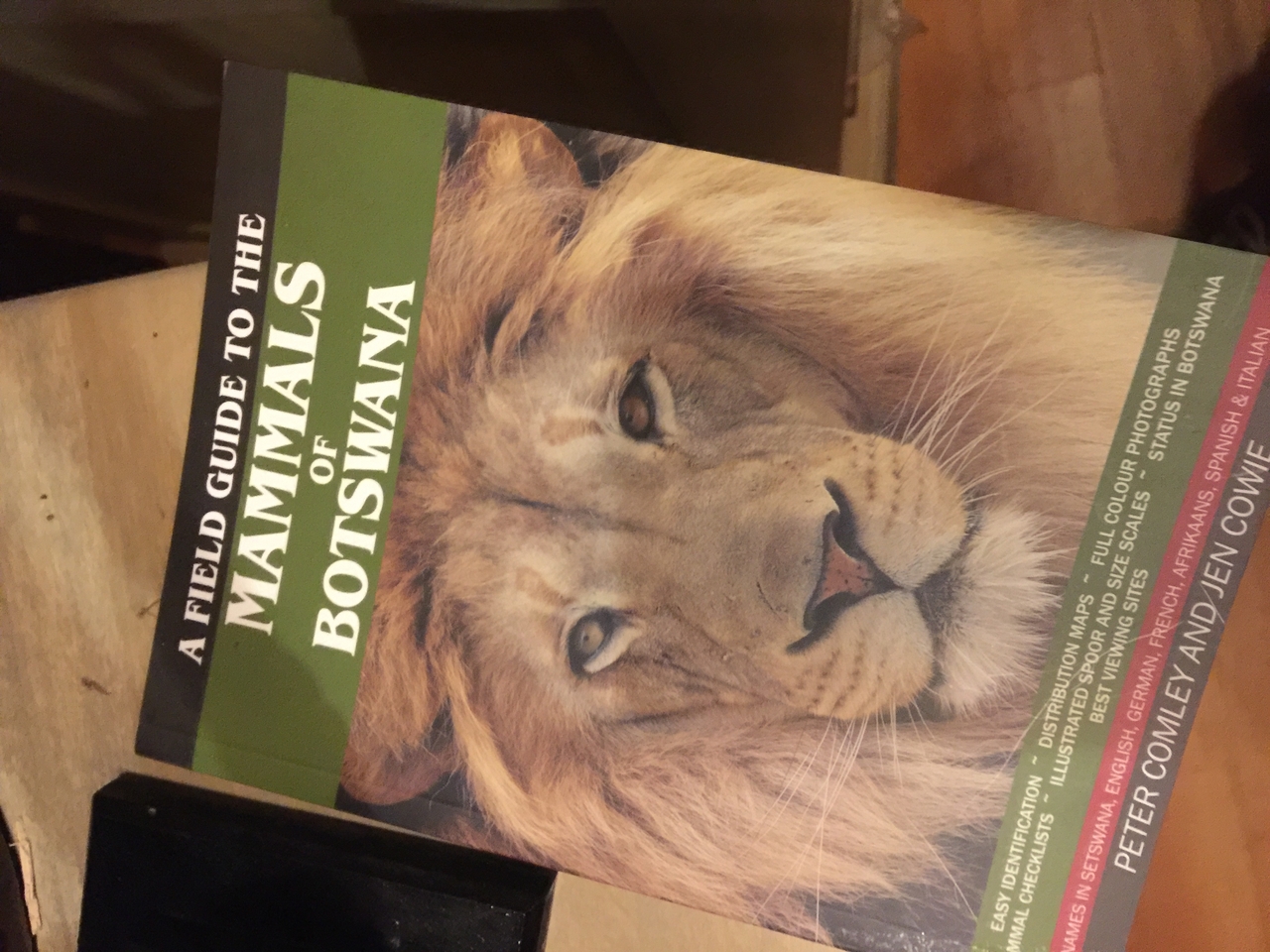 [27476] 2016_07_01_20_59_29_Africa_iPhone_6_Plus_IMG_4616_00109.jpg