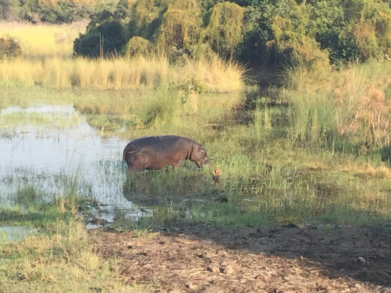 [27937] 2016_07_02_08_42_12_Africa_iPhone_6_Plus_IMG_4643_00608.jpg