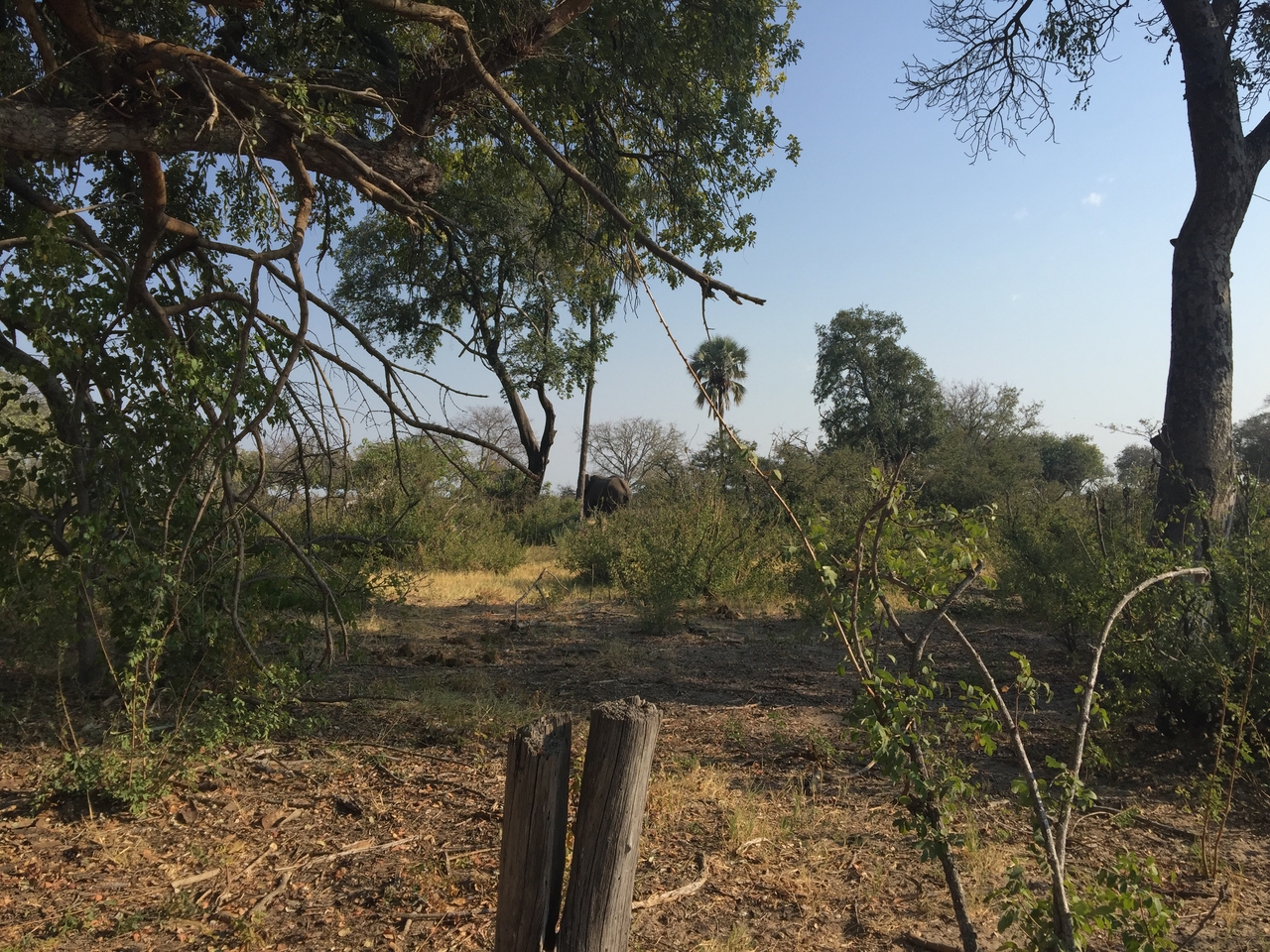 [28028] 2016_07_02_09_16_22_Africa_iPhone_6_Plus_IMG_4647_07193.jpg