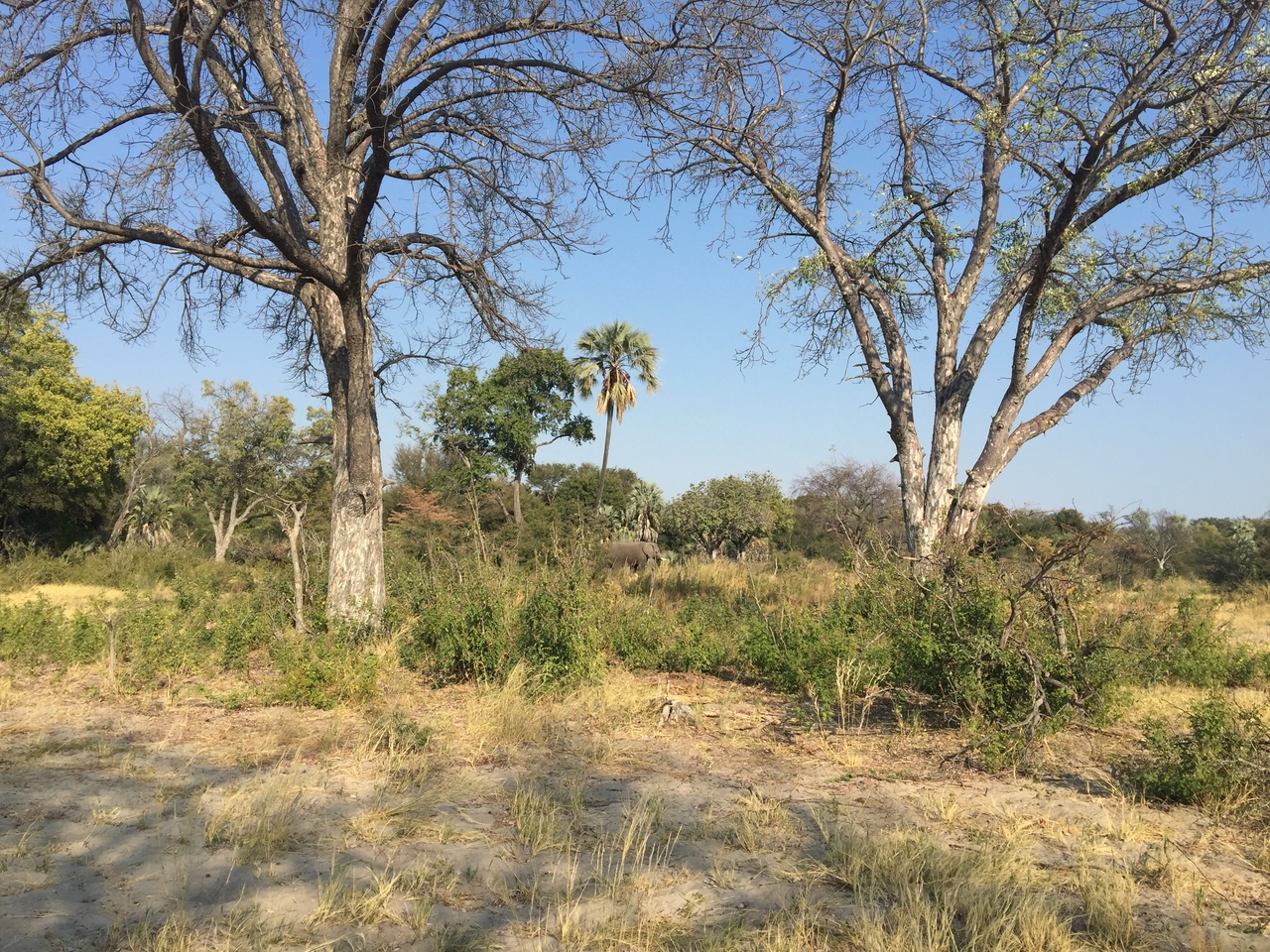 [28040] 2016_07_02_09_17_52_Africa_iPhone_6_Plus_IMG_4651_07196.jpg