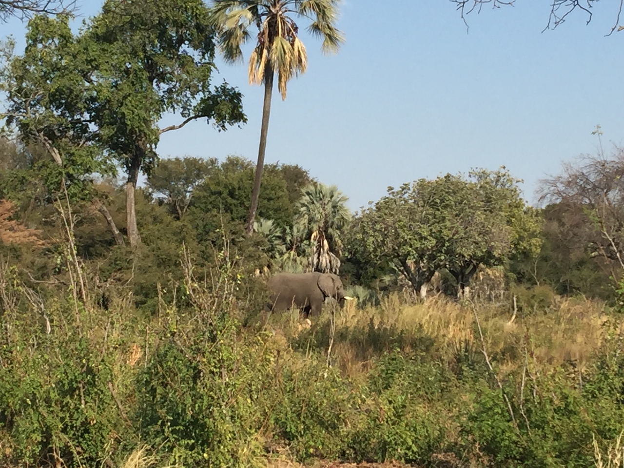 [28041] 2016_07_02_09_17_55_Africa_iPhone_6_Plus_IMG_4652_00125.jpg