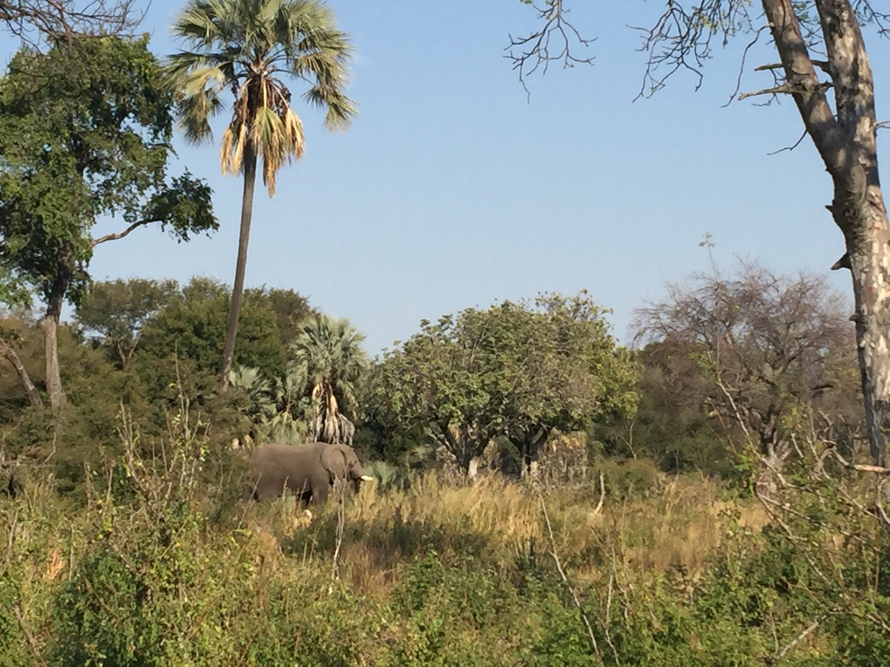[28049] 2016_07_02_09_17_57_Africa_iPhone_6_Plus_IMG_4654_07199.jpg