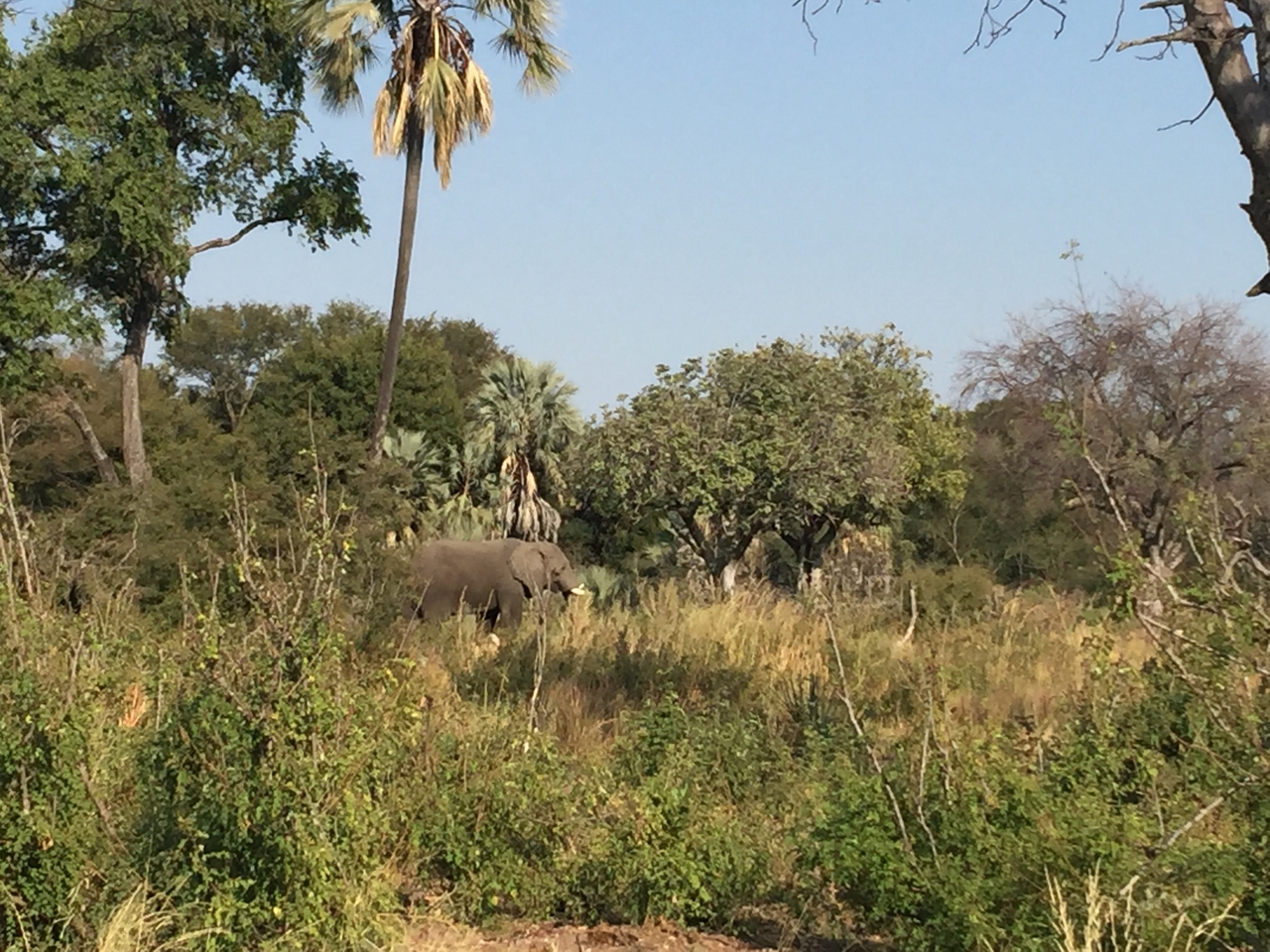 [28050] 2016_07_02_09_17_58_Africa_iPhone_6_Plus_IMG_4655_00128.jpg