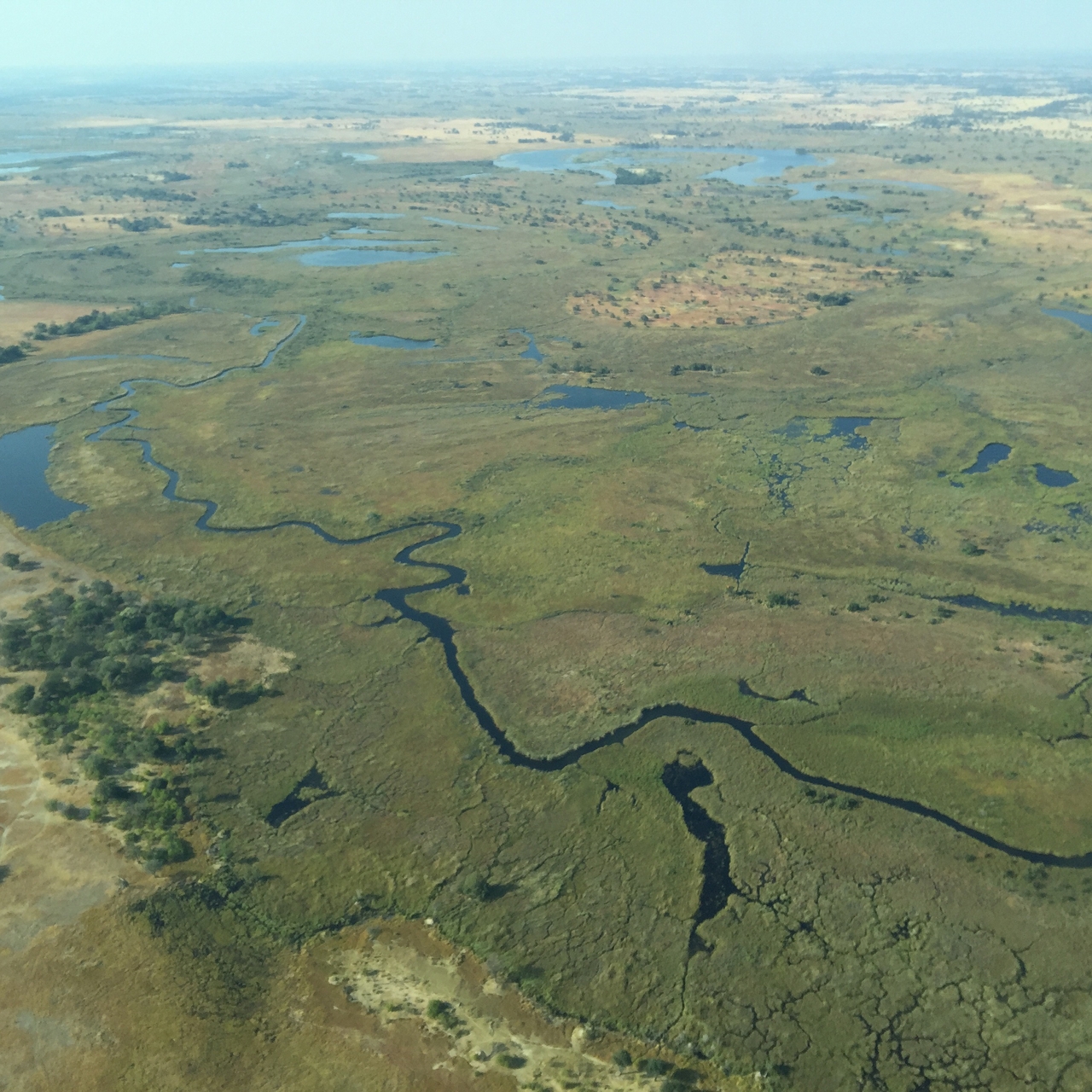 [28105] 2016_07_02_09_27_53_Africa_iPhone_6_Plus_IMG_5016_00845.jpg