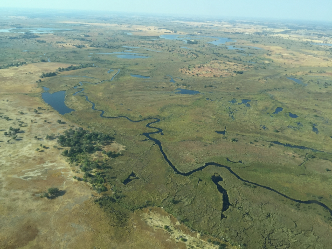 [28109] 2016_07_02_09_27_54_Africa_iPhone_6_Plus_IMG_4703_07213.jpg