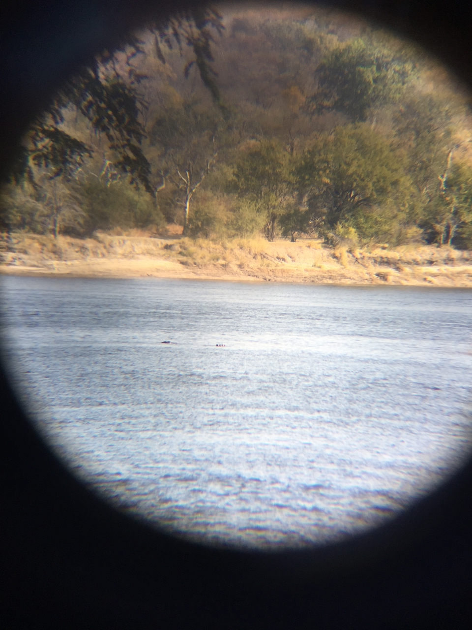 [28773] 2016_07_02_15_28_24_Africa_iPhone_6_Plus_IMG_4789_00181.jpg