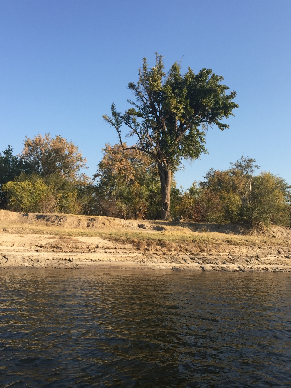 [28798] 2016_07_02_16_32_22_Africa_iPhone_6_Plus_IMG_4803_00677.jpg