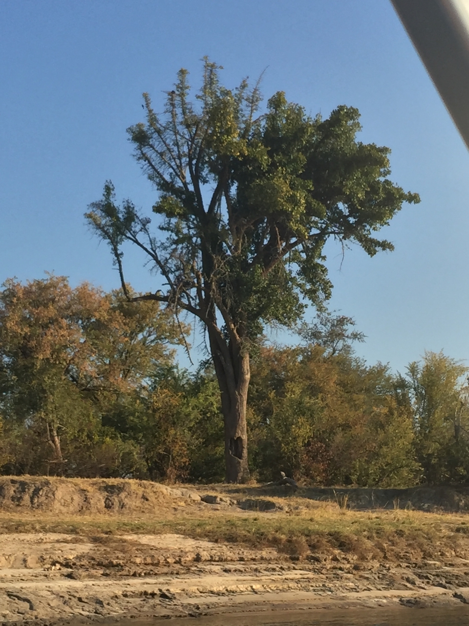 [28801] 2016_07_02_16_32_30_Africa_iPhone_6_Plus_IMG_4804_00678.jpg