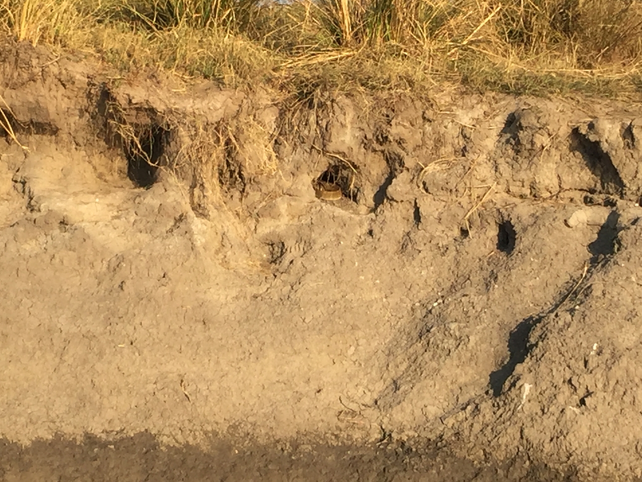 [28806] 2016_07_02_16_46_35_Africa_iPhone_6_Plus_IMG_4806_00192.jpg