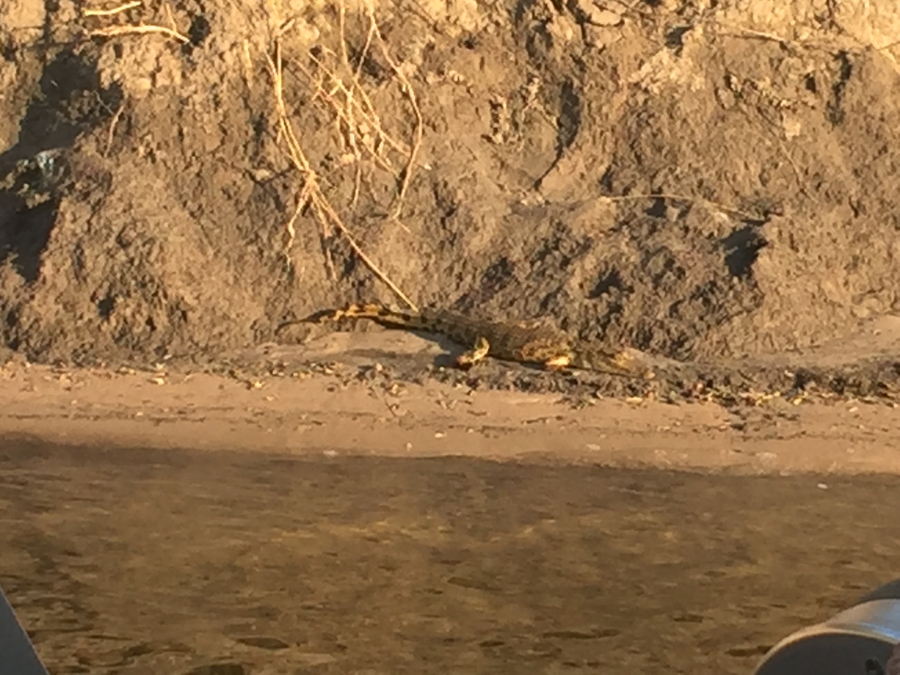 [28810] 2016_07_02_16_49_52_Africa_iPhone_6_Plus_IMG_4807_00681.jpg