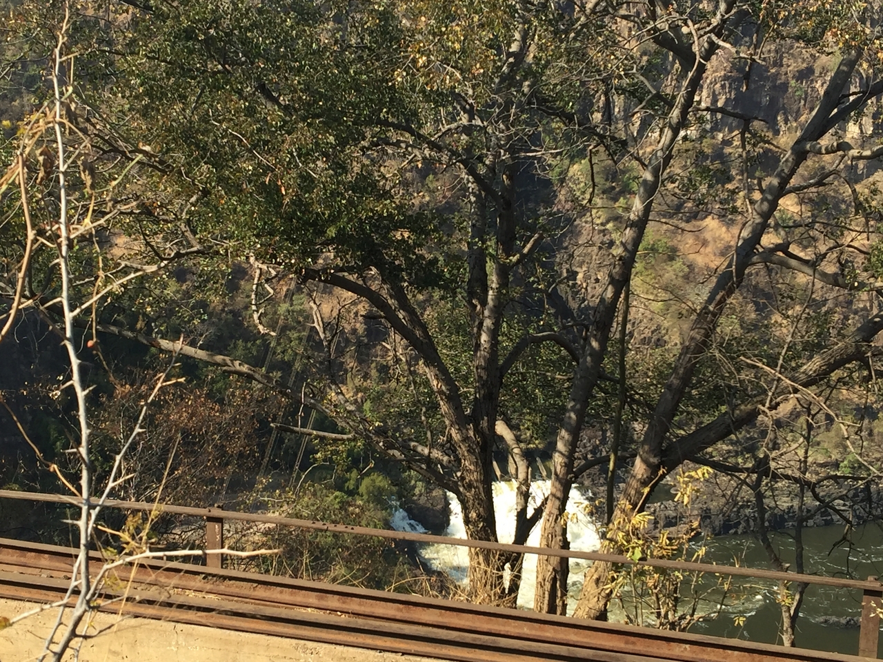 [31831] 2016_07_03_09_45_48_Africa_iPhone_6_Plus_IMG_4890_00255.jpg