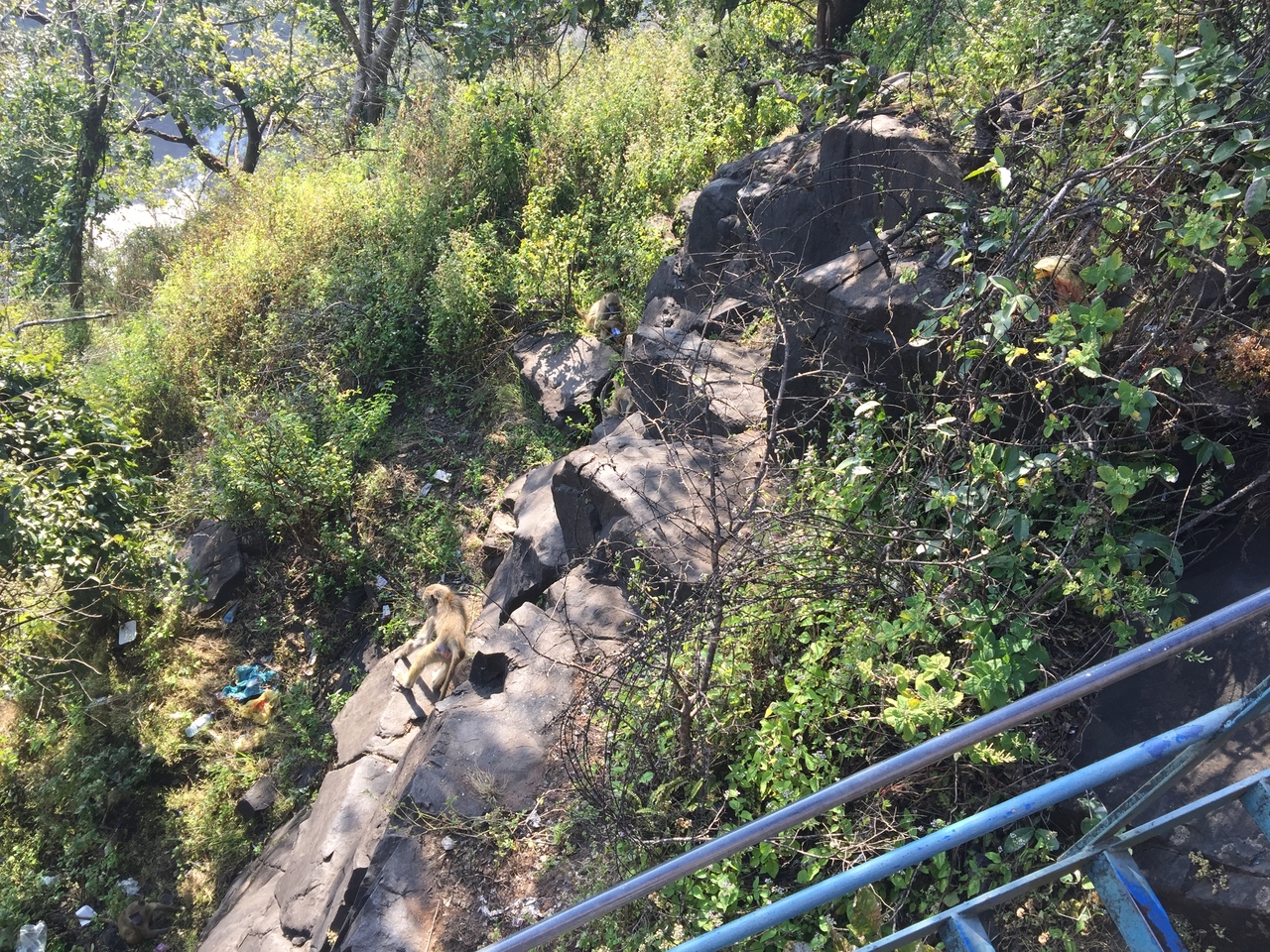 [31914] 2016_07_03_09_51_04_Africa_iPhone_6_Plus_IMG_4897_00262.jpg