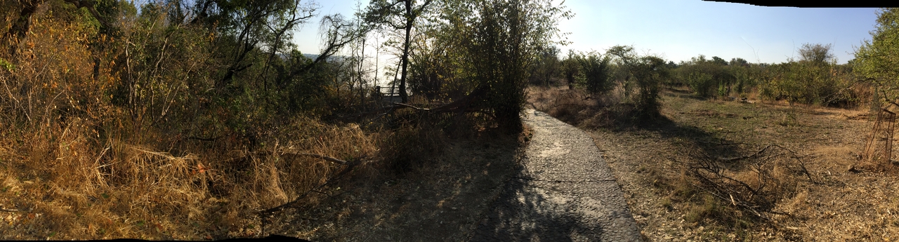 [32669] 2016_07_03_15_58_07_Africa_iPhone_6_Plus_IMG_4944_00785.jpg