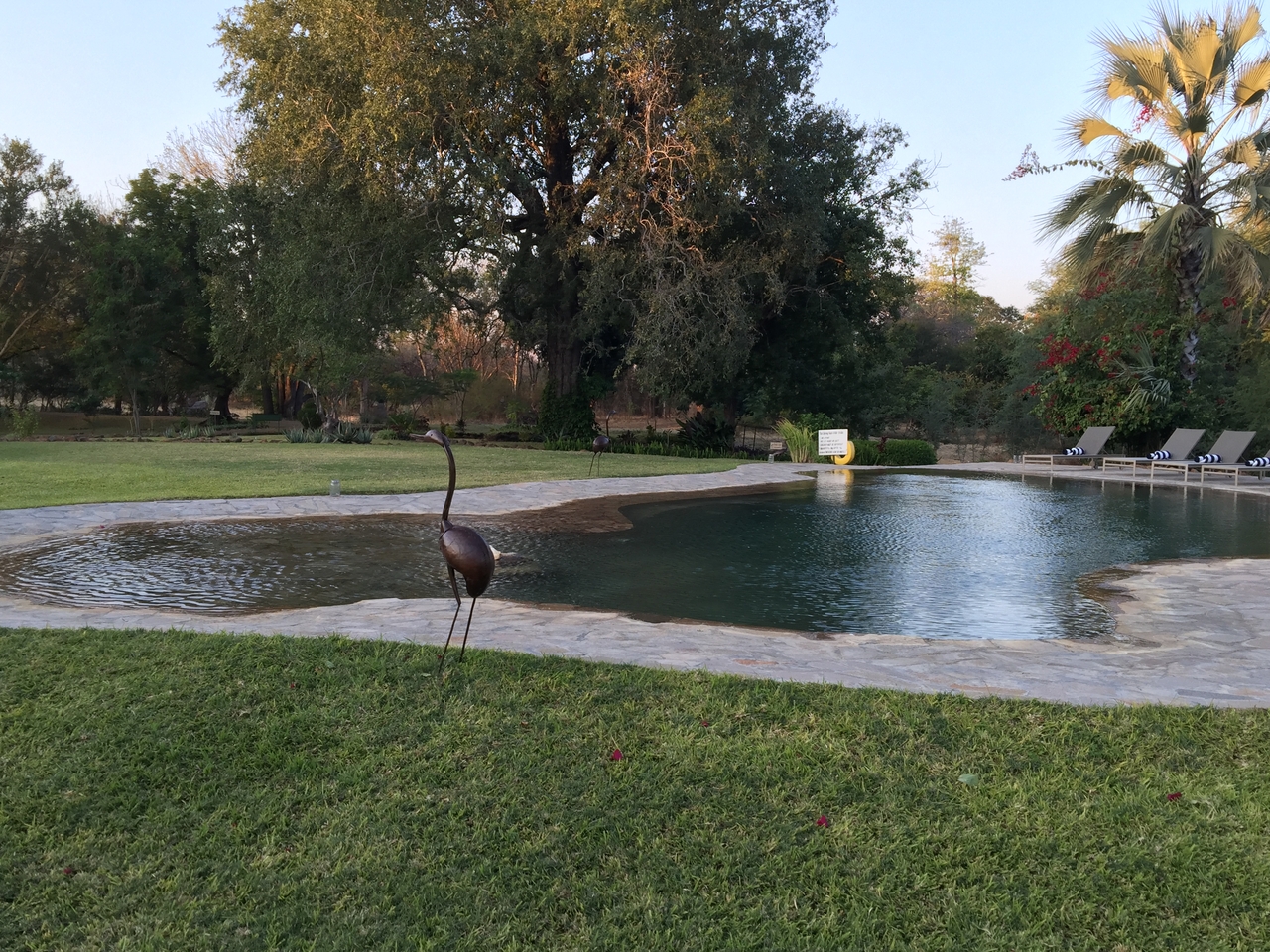 [32729] 2016_07_03_17_24_44_Africa_iPhone_6_Plus_IMG_4952_07373.jpg