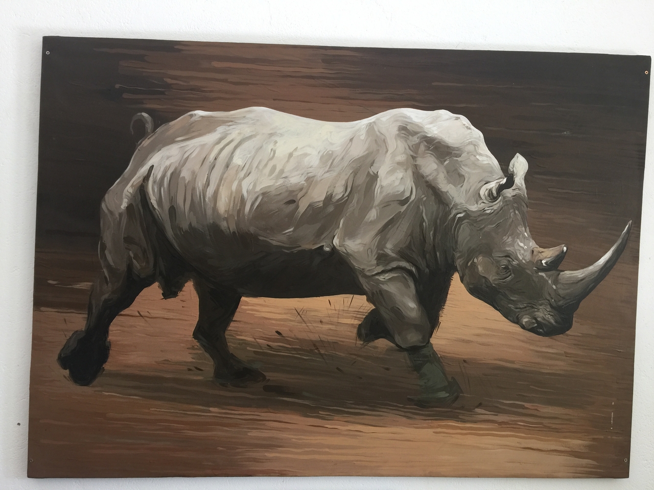 [34231] 2016_07_04_12_20_22_Africa_iPhone_6_Plus_IMG_4996_00829.jpg