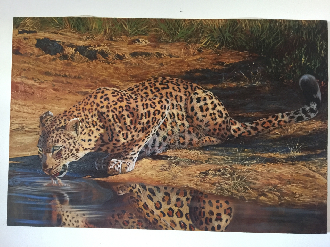 [34238] 2016_07_04_12_20_41_Africa_iPhone_6_Plus_IMG_4998_07415.jpg