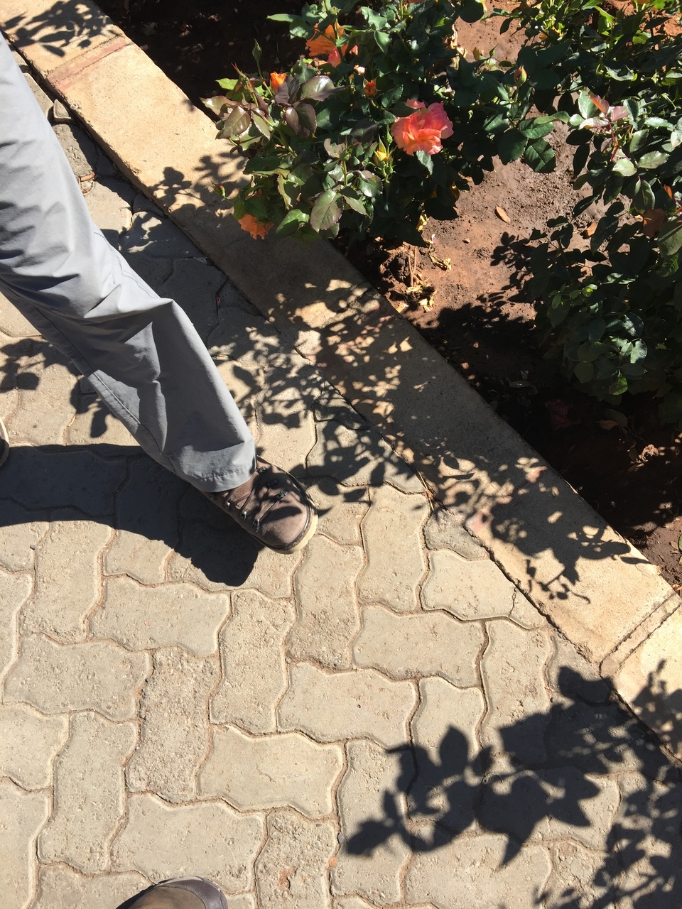 [34484] 2016_07_05_11_08_13_Africa_iPhone_6_Plus_IMG_5033_00024.jpg