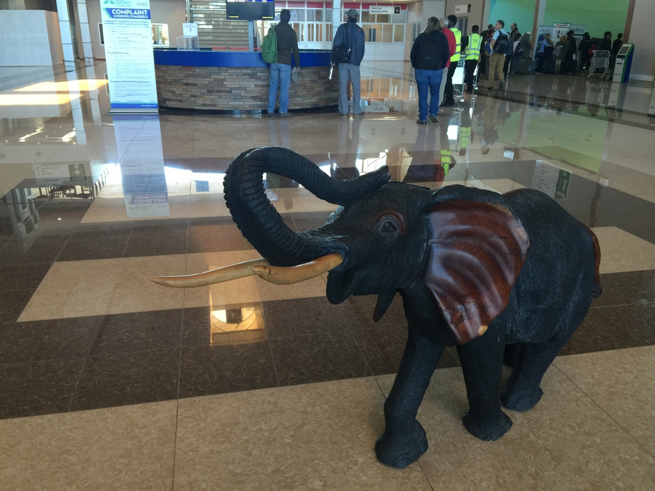 [34487] 2016_07_05_11_09_22_Africa_iPhone_6_Plus_IMG_5034_00025.jpg