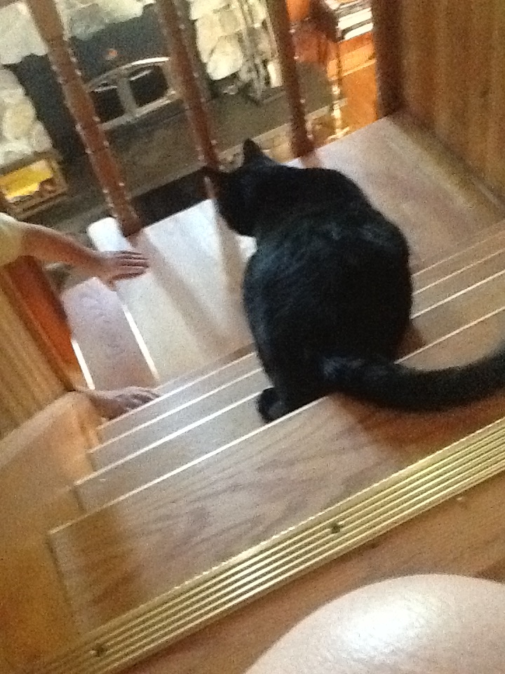 [16433] 2016_06_26_09_27_38_Africa_iPad_2_IMG_3721_00328.jpg