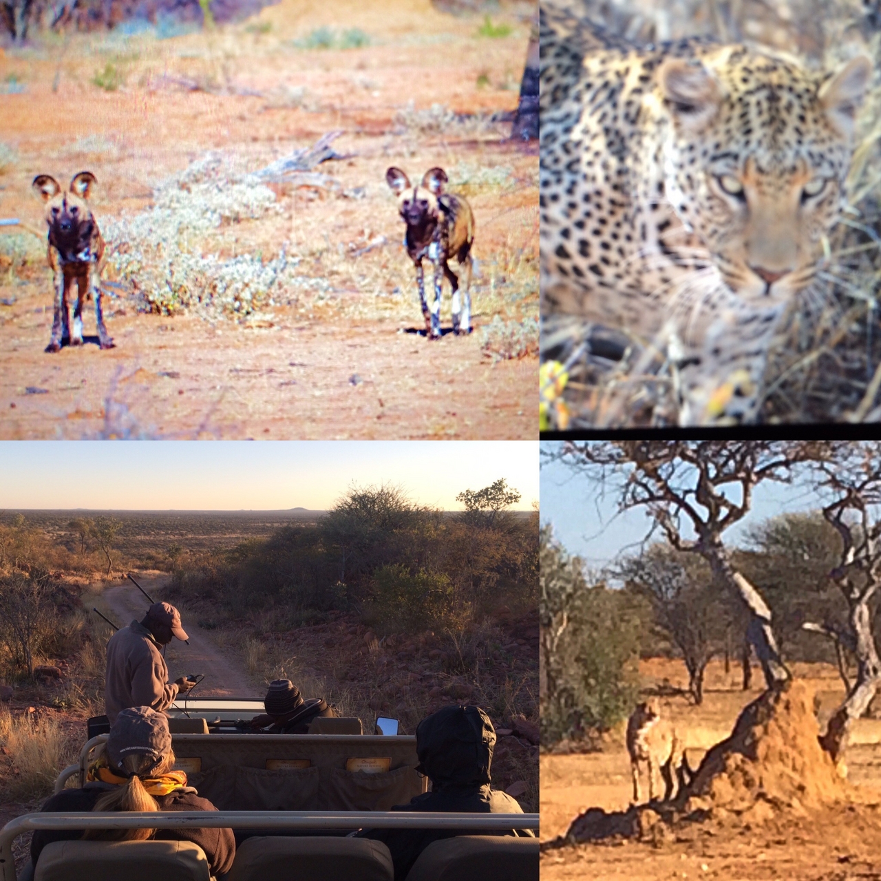 [2526] 2016_06_22_09_16_42_Africa_Other_Cameras_IMG__05615.jpg