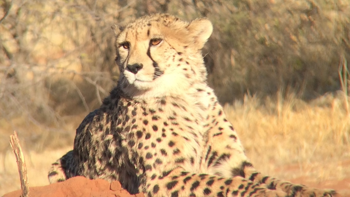 [6715] 2016_06_23_10_58_24_Africa_Other_Cameras_IMG_8201_00346.jpg