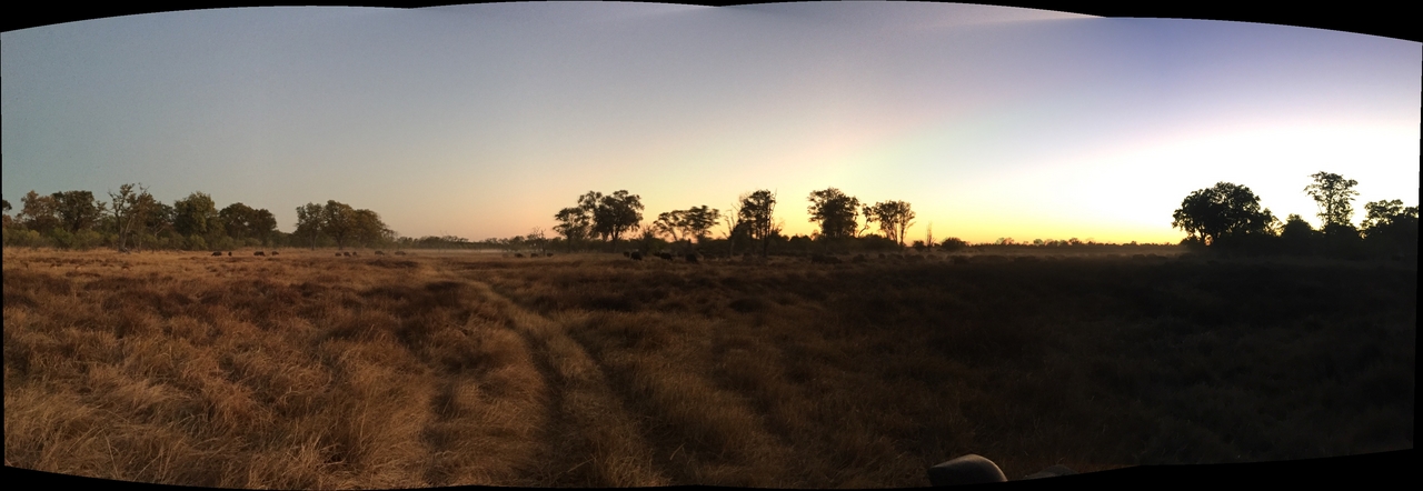 [34592] 2016_08_07_18_30_28-04_00_Africa_Other_Cameras_IMG_8547_00496.jpg