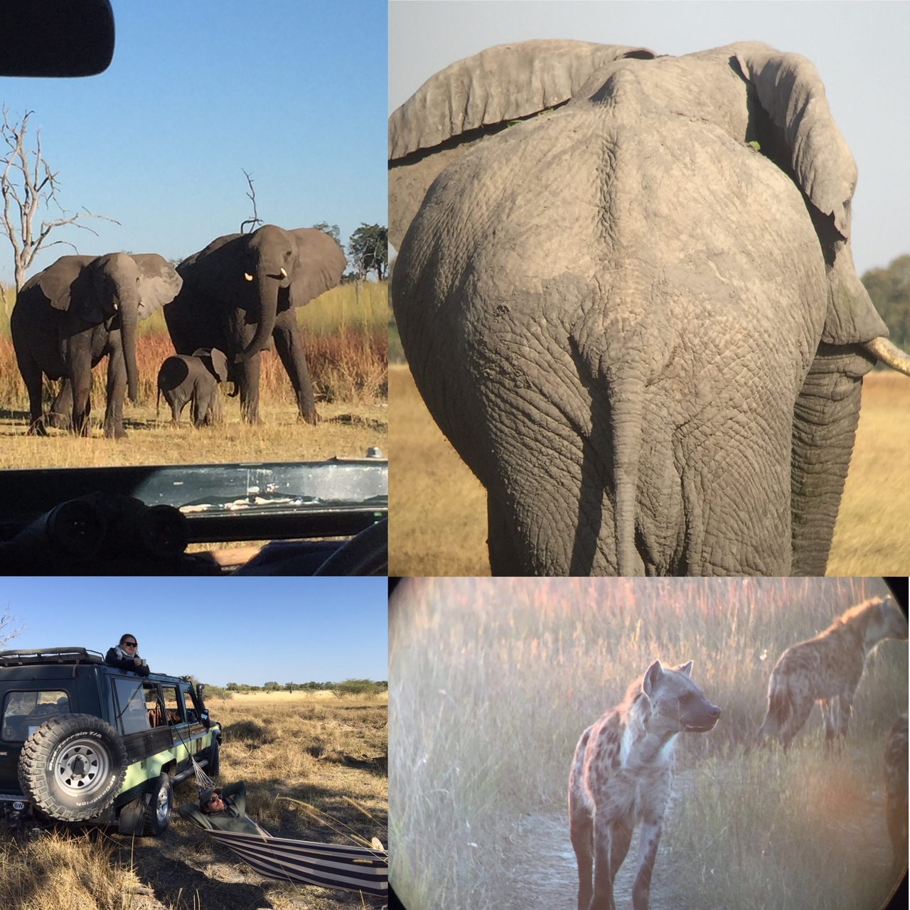 [34596] 2016_08_07_18_30_55-04_00_Africa_Other_Cameras_IMG__01452.jpg