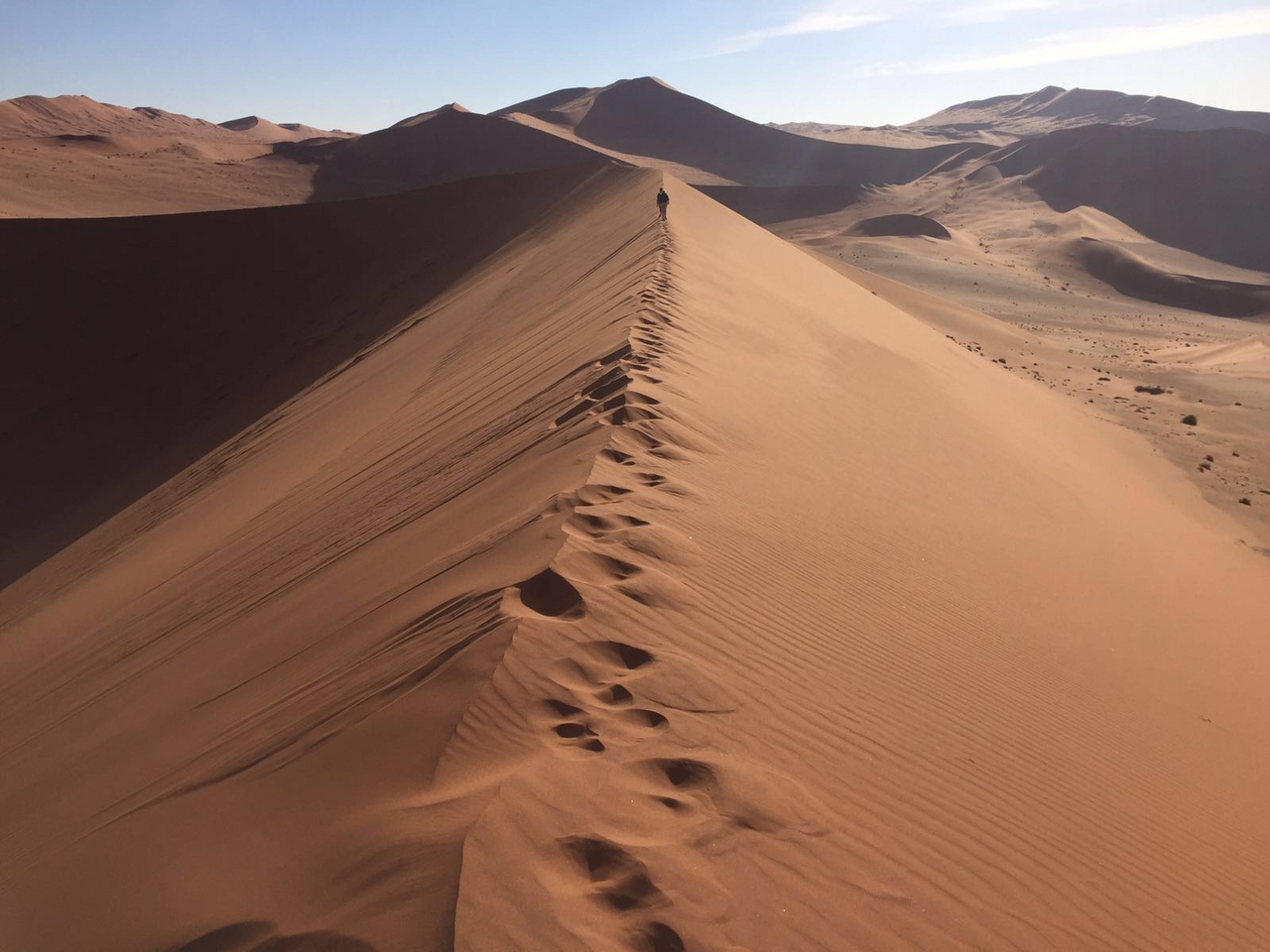 [34699] 2016_08_07_19_06_00-04_00_Africa_Other_Cameras_IMG_3724_06915.jpg