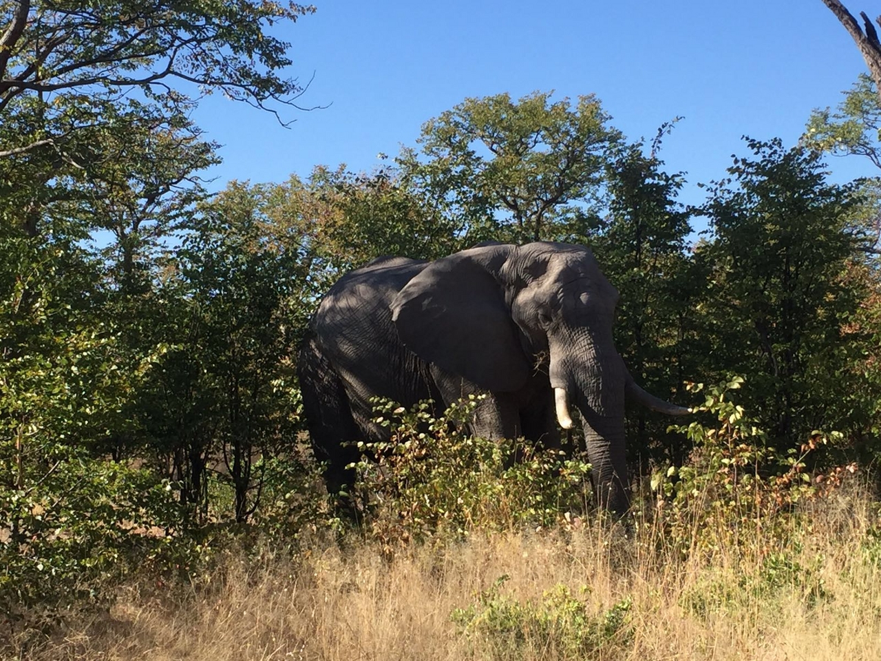 [34756] 2016_08_07_19_21_43-04_00_Africa_Other_Cameras_IMG_4955_00792.jpg