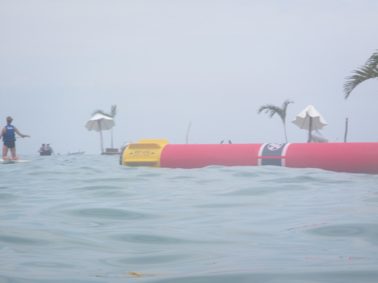 The Wedding of Kate and Ken | Puerto Vallarta, Mexico | Fri, 30 Dec 2016 | 1:14:30 PM The Wedding of Kate and Ken | Puerto Vallarta, Mexico | Fri, 30 Dec 2016 | 1:14:30 PM