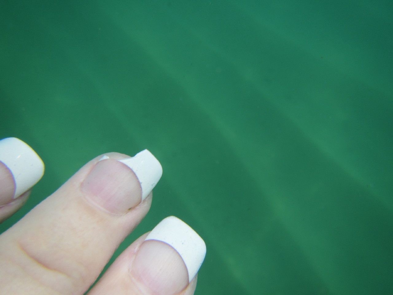 The Wedding of Kate and Ken | Puerto Vallarta, Mexico | Fri, 30 Dec 2016 | 1:19:34 PM The Wedding of Kate and Ken | Puerto Vallarta, Mexico | Fri, 30 Dec 2016 | 1:19:34 PM