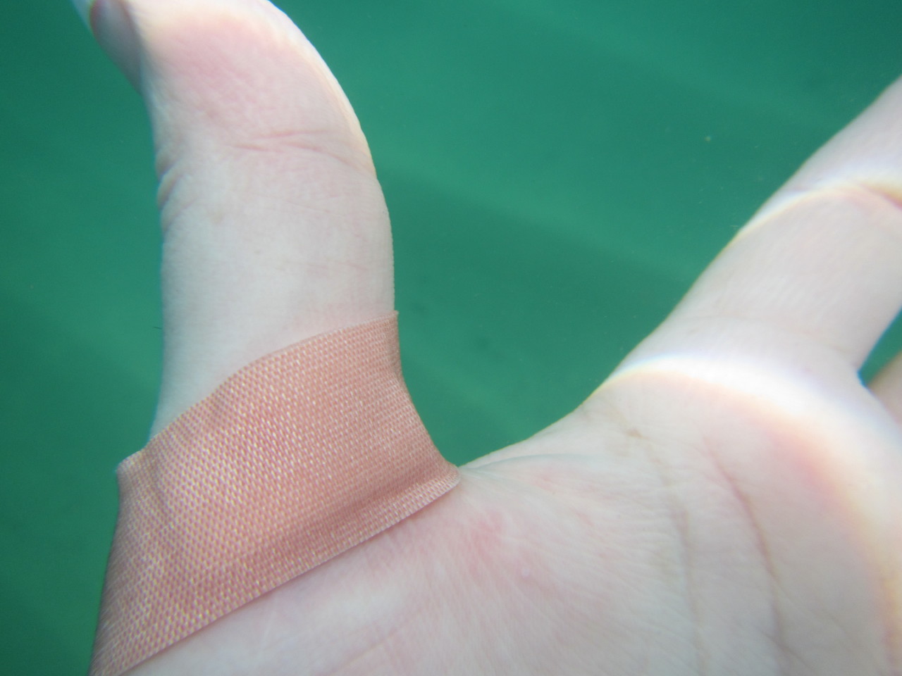 The Wedding of Kate and Ken | Puerto Vallarta, Mexico | Fri, 30 Dec 2016 | 1:19:40 PM The Wedding of Kate and Ken | Puerto Vallarta, Mexico | Fri, 30 Dec 2016 | 1:19:40 PM