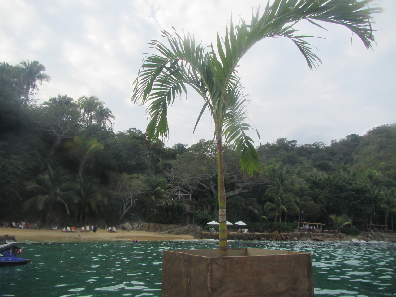 The Wedding of Kate and Ken | Puerto Vallarta, Mexico | Fri, 30 Dec 2016 | 1:26:47 PM The Wedding of Kate and Ken | Puerto Vallarta, Mexico | Fri, 30 Dec 2016 | 1:26:47 PM
