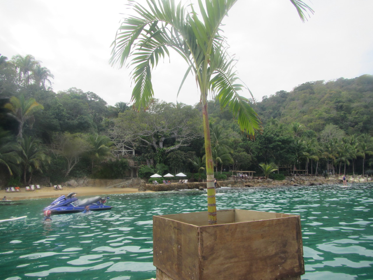 The Wedding of Kate and Ken | Puerto Vallarta, Mexico | Fri, 30 Dec 2016 | 1:29:41 PM The Wedding of Kate and Ken | Puerto Vallarta, Mexico | Fri, 30 Dec 2016 | 1:29:41 PM