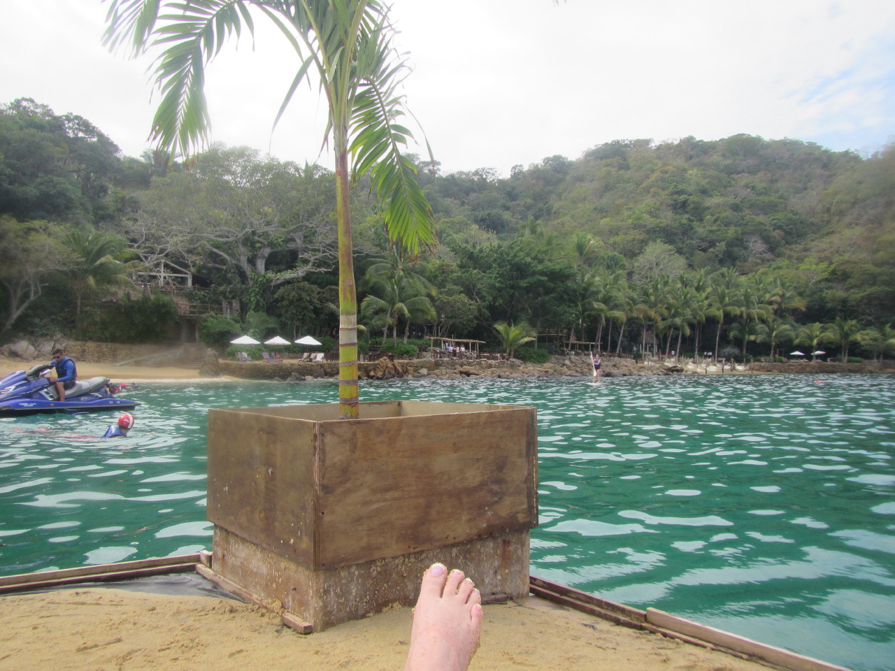 The Wedding of Kate and Ken | Puerto Vallarta, Mexico | Fri, 30 Dec 2016 | 1:29:56 PM The Wedding of Kate and Ken | Puerto Vallarta, Mexico | Fri, 30 Dec 2016 | 1:29:56 PM