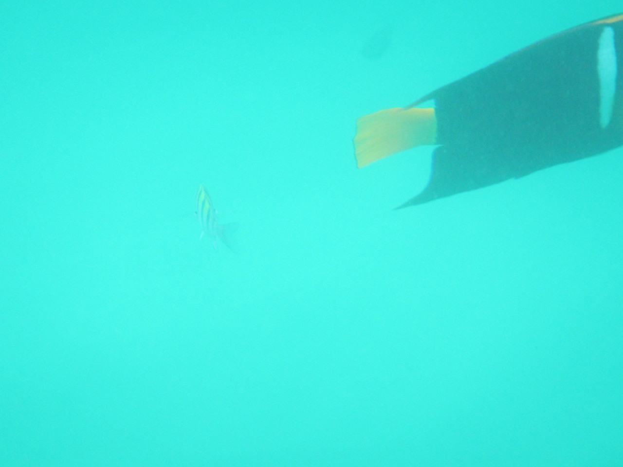 The Wedding of Kate and Ken | Puerto Vallarta, Mexico | Fri, 30 Dec 2016 | 1:41:06 PM The Wedding of Kate and Ken | Puerto Vallarta, Mexico | Fri, 30 Dec 2016 | 1:41:06 PM