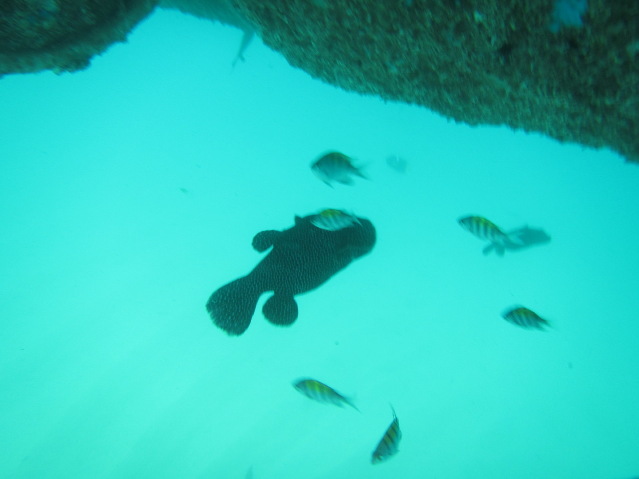 The Wedding of Kate and Ken | Puerto Vallarta, Mexico | Fri, 30 Dec 2016 | 1:41:50 PM The Wedding of Kate and Ken | Puerto Vallarta, Mexico | Fri, 30 Dec 2016 | 1:41:50 PM