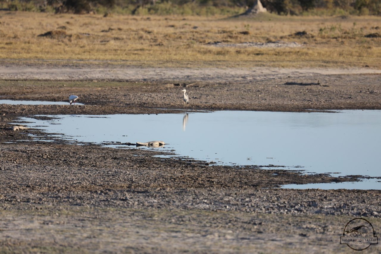 [38] 2019_06_21_22_12_11_Africa_Canon_EOS_5D_Mark_IV_IMG_0004372_00020.jpg