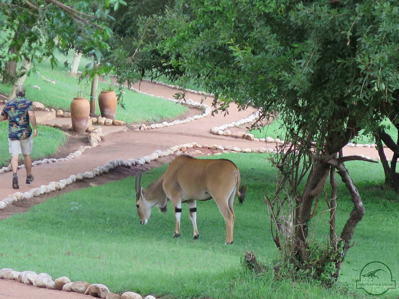 [51] 2019_06_29_09_49_21_Africa_Canon_PowerShot_G16_IMG_0199_00026.jpg