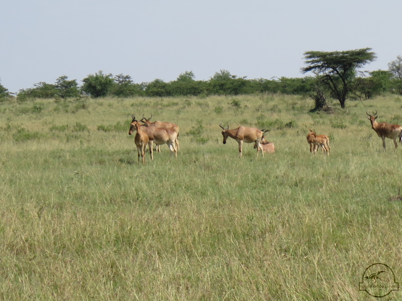 [112] 2019_06_30_03_46_17_Africa_Canon_PowerShot_G16_IMG_0081_00047.jpg