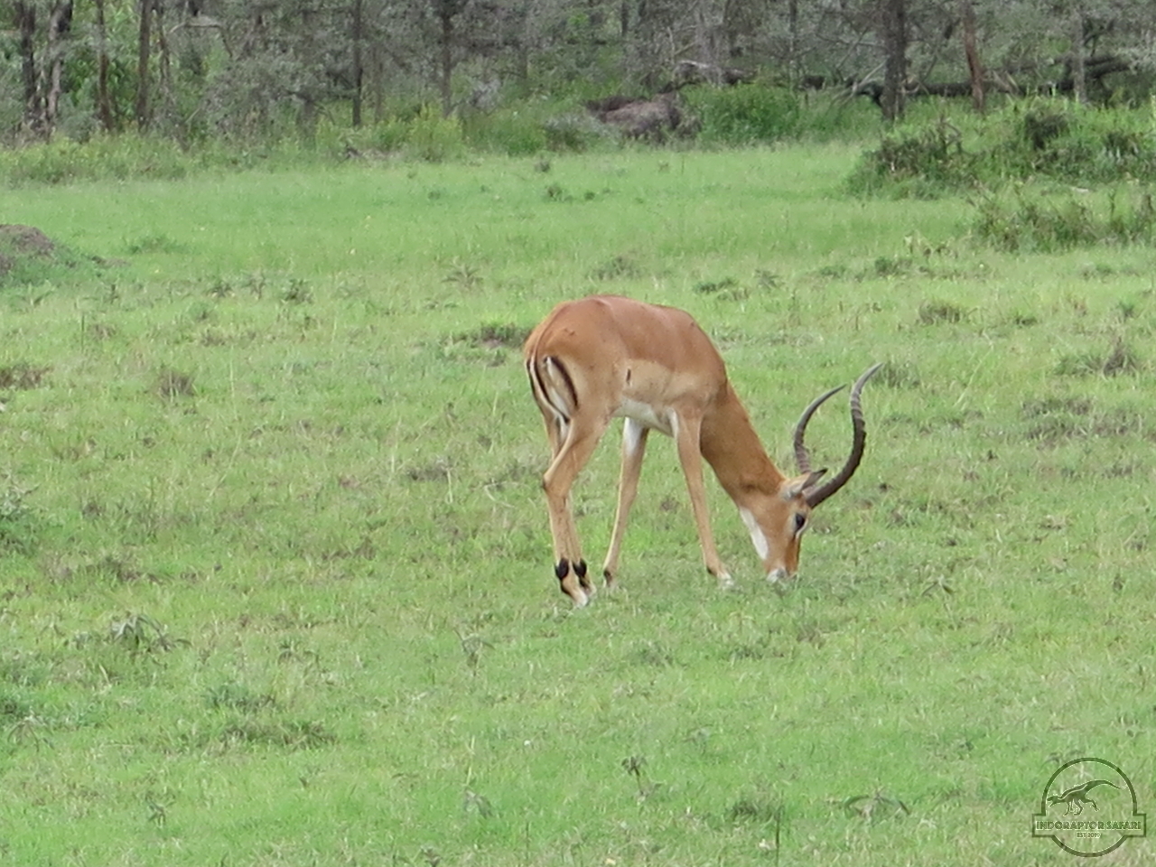 [134] 2019_07_04_02_40_49_Africa_Canon_PowerShot_G16_IMG_0044_00004.jpg