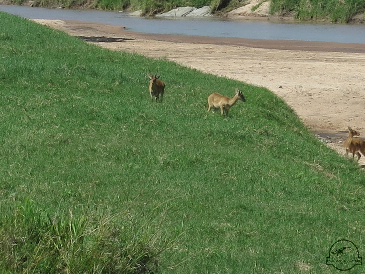 [144] 2019_07_01_04_09_07_Africa_Canon_PowerShot_G16_IMG_0193_00037.jpg