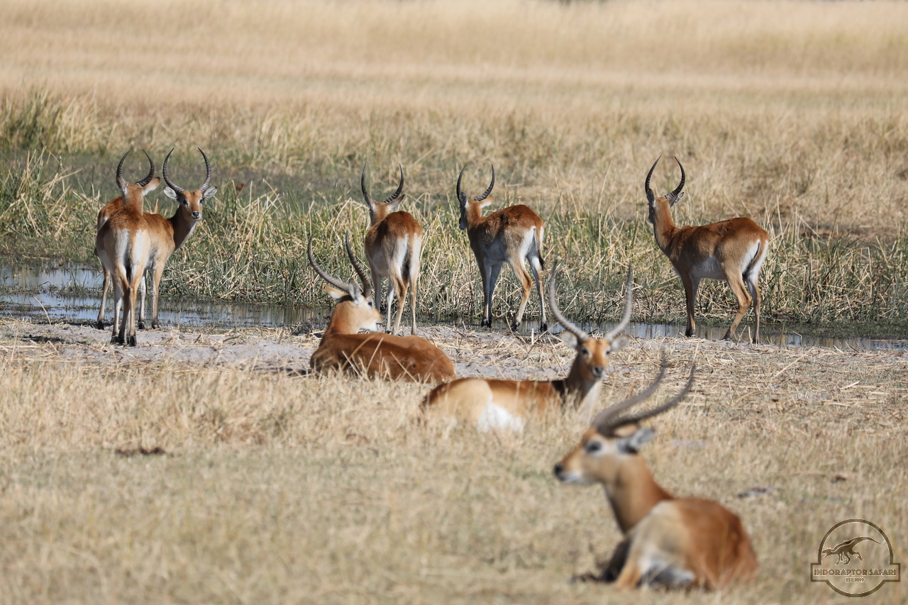 [154] 2019_06_20_15_27_50_Africa_Canon_EOS_5D_Mark_IV_IMG_0001165_00061.jpg