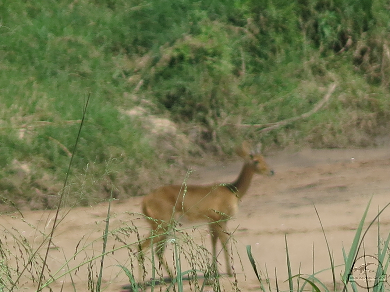 [176] 2019_07_03_05_30_27_Africa_Canon_PowerShot_G16_IMG_0141_00002.jpg