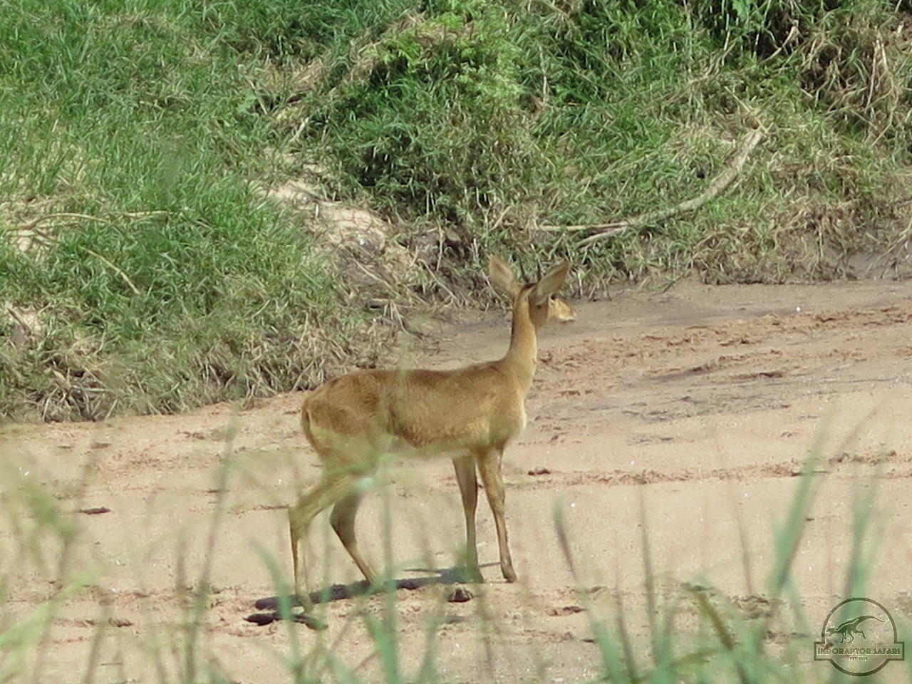 [180] 2019_07_03_05_30_32_Africa_Canon_PowerShot_G16_IMG_0142_00048.jpg