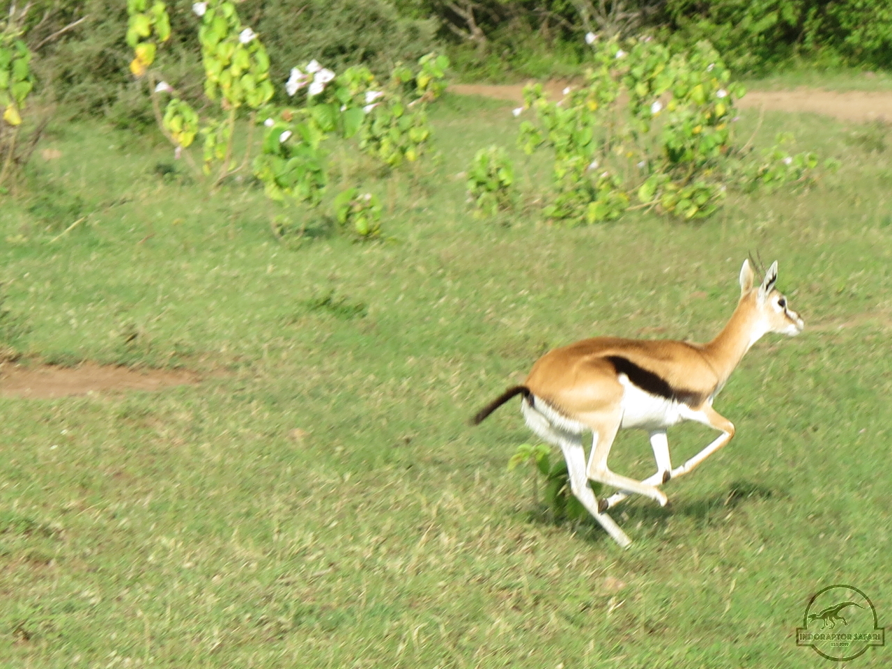 [185] 2019_06_29_10_17_20_Africa_Canon_PowerShot_G16_IMG_0236_00003.jpg