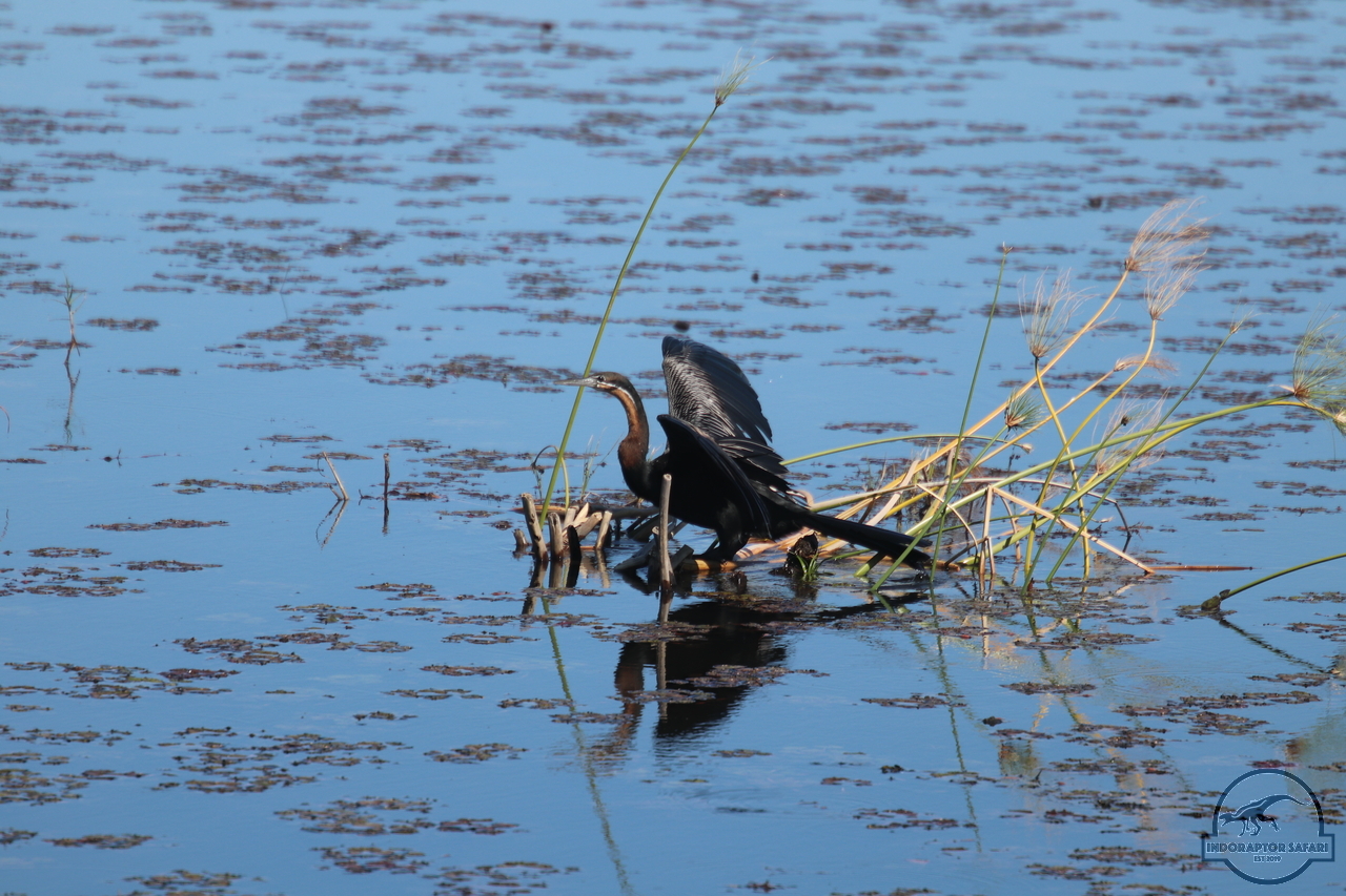 [295] 2019_06_21_12_23_45_Africa_Canon_EOS_77D_IMG_0674_00109.jpg