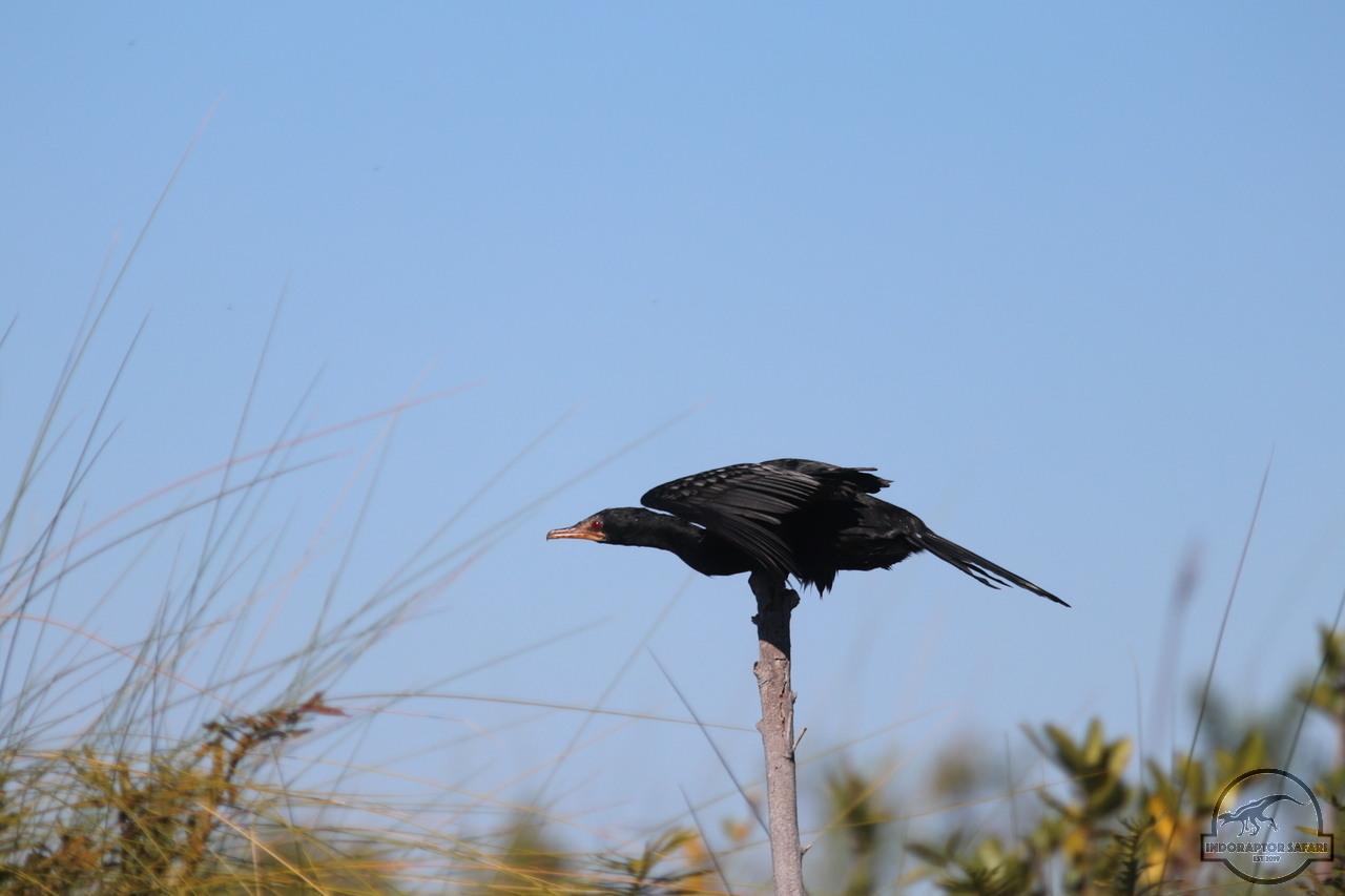 [297] 2019_06_21_14_55_26_Africa_Canon_EOS_77D_IMG_0745_00018.jpg